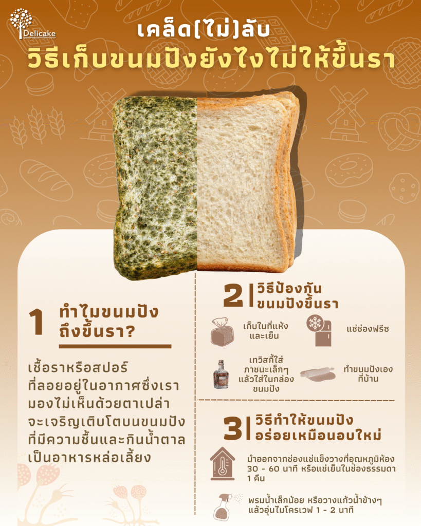วิธีเก็บขนมปังไม่ให้ขึ้นรา